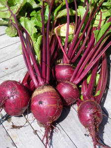 beetroot, anti oxidants,healthy juicing,anti oxidants,cleansing 
